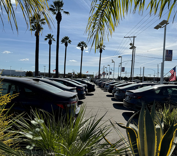 Car lot