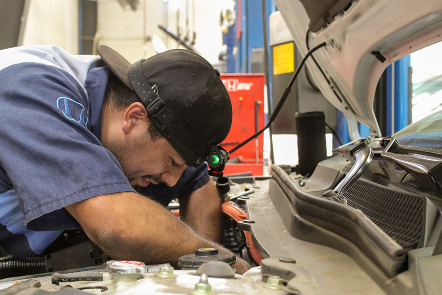 Master Service Technician