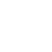 TikTok Icon
